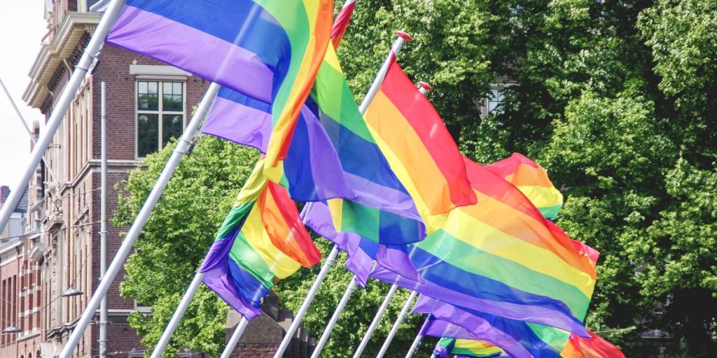 Quels sont les différents drapeaux LGBT ?